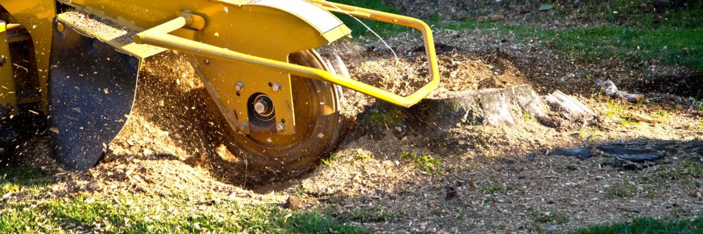 Stump Grinding Services in Conway, SC