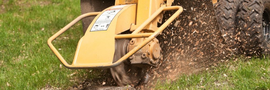 Stump Grinding Services in Conway, SC