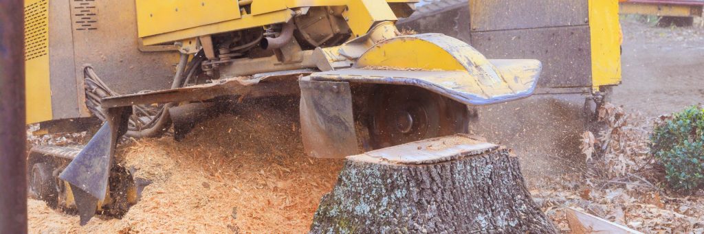 Stump Grinding Services in Conway, SC