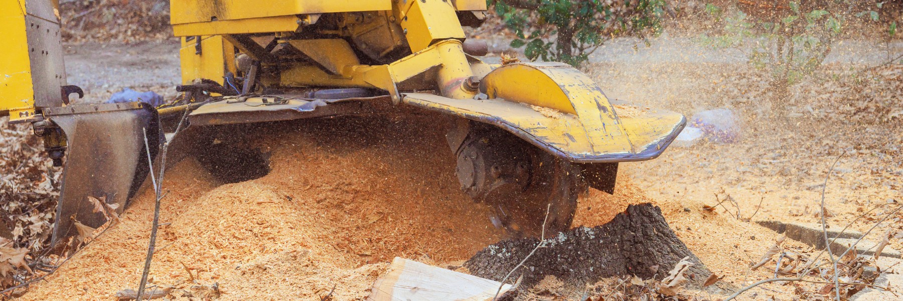Stump Grinding Services in Conway, SC
